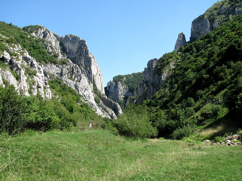 Cheile Turzii vazute dinspre comuna Petreștii de Jos. (Ana Maria Catalina, Wikipedia)