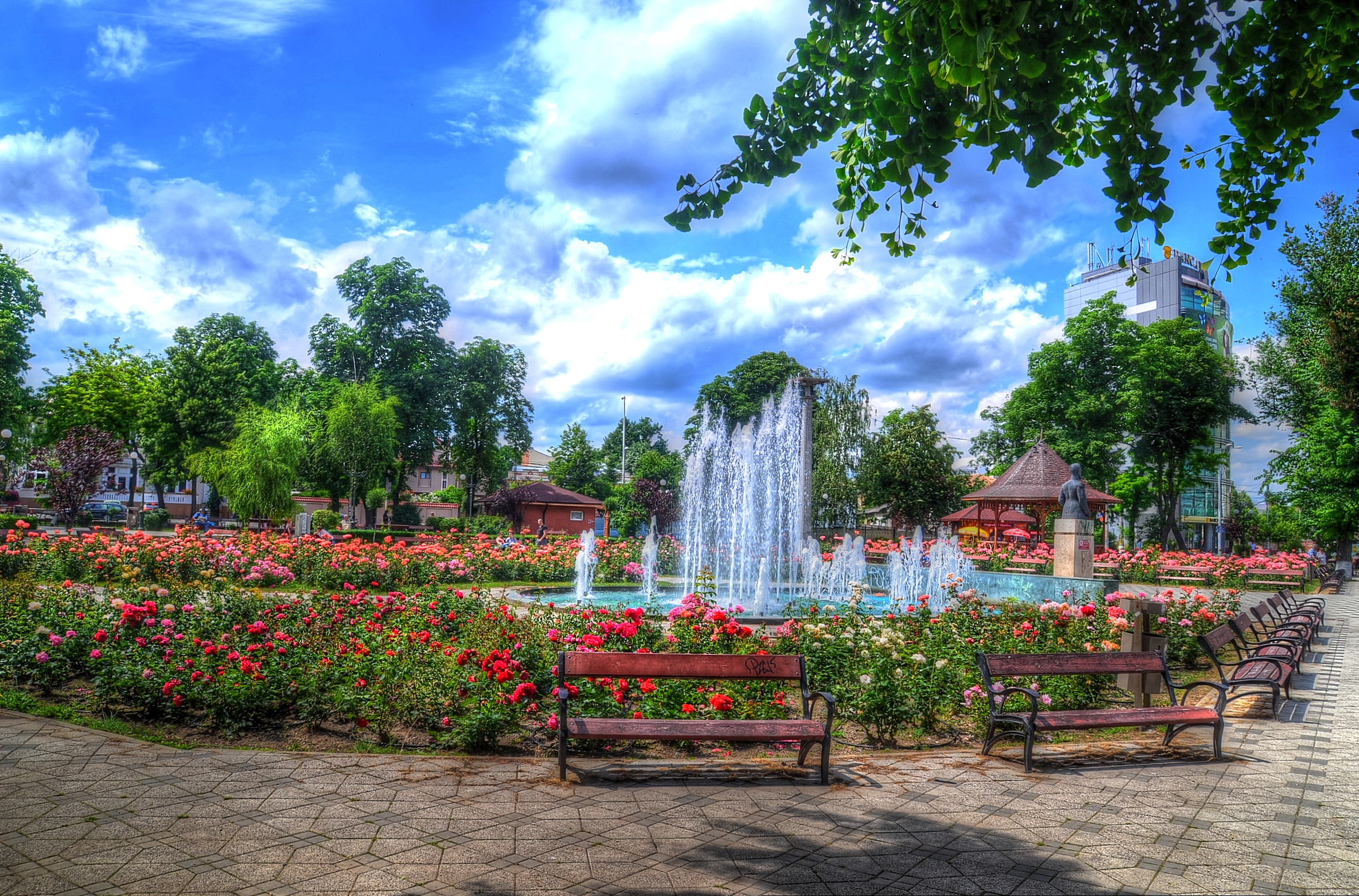 Imagini din Parcul Trandafirilor din Bacau