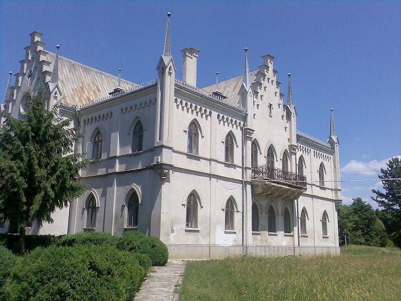 Palatul Cuza din Ruginoasa