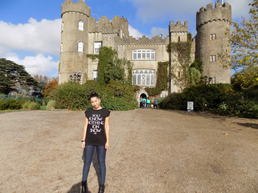 Castelul din Malahide, Dublin