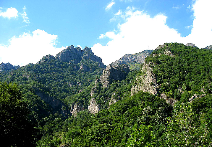 Parcul Național Cozia – un potențial natural și antropic