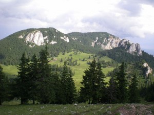 Parcul Național Cheile Bicazului - Hșmaș