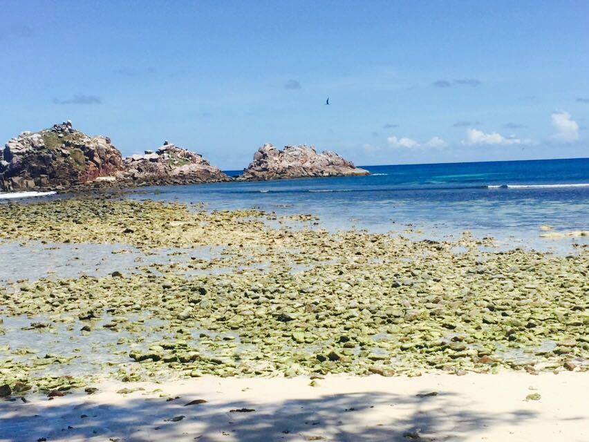 Amintiri din vacanța în paradisul Seychelles