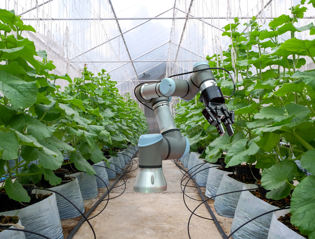 robot în agricultură